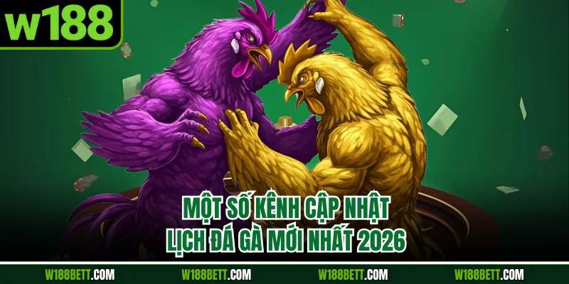 Một số kênh cập nhật lịch đá gà mới nhất 2026